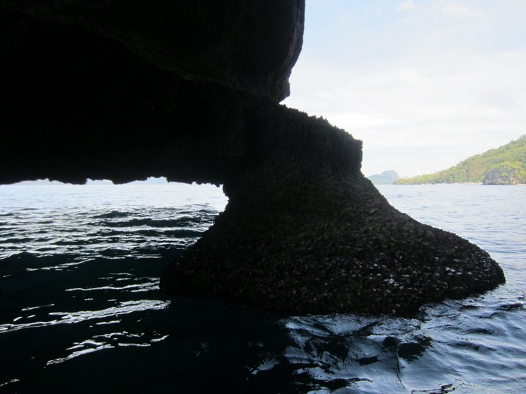 Barnacle incrusted rocks...lets go over to have a look.