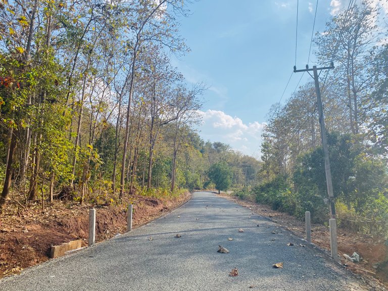 We had the road to ourselves for almost the entire walk to the village.