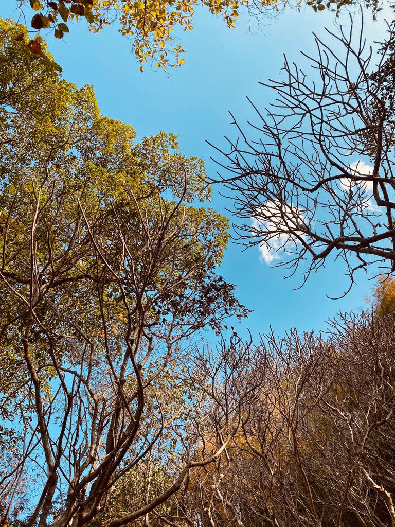 Sometimes you gotta hold on just to appreciate the beautiful blue sky right above you. 