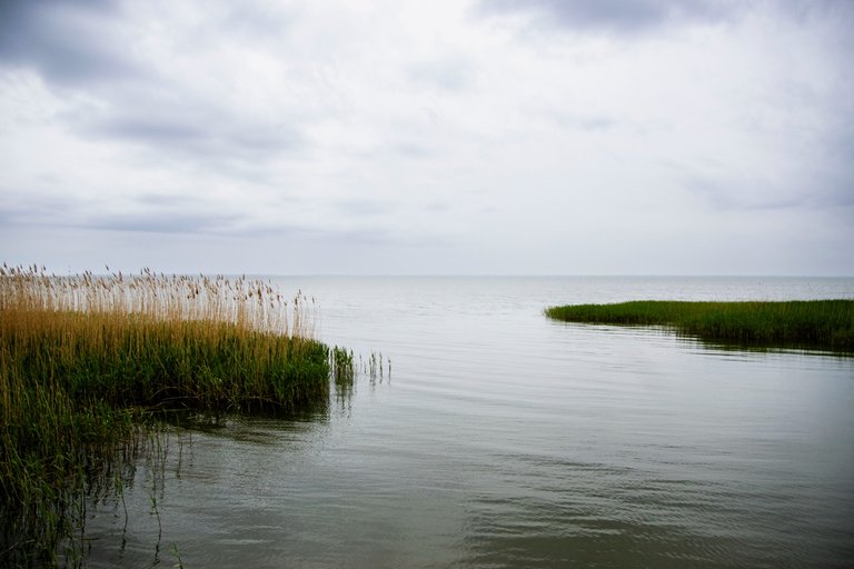 Куршская коса 20250521_2.jpg