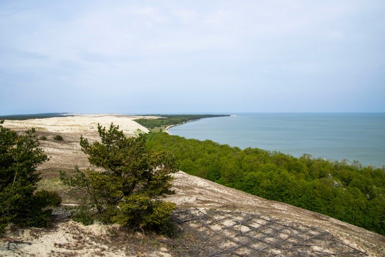 Куршская коса 20250521_13.jpg