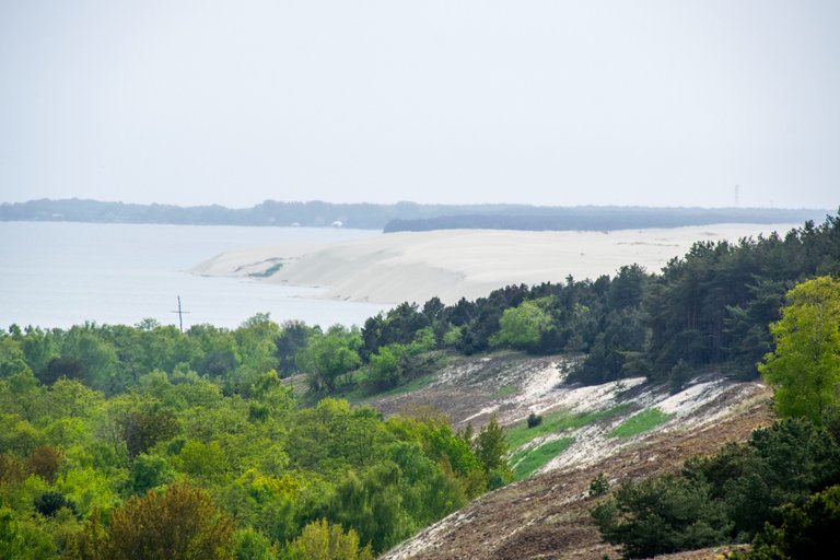 Куршская коса 20250521_2.jpg