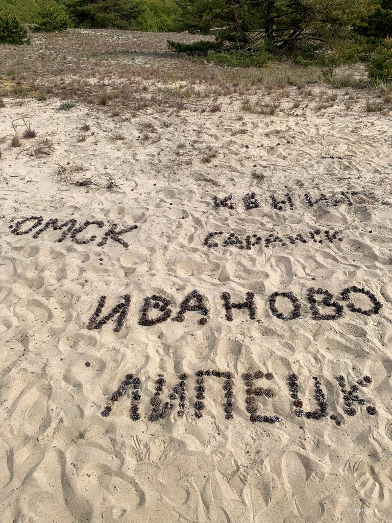2025-05-22 15-19-31.jpg