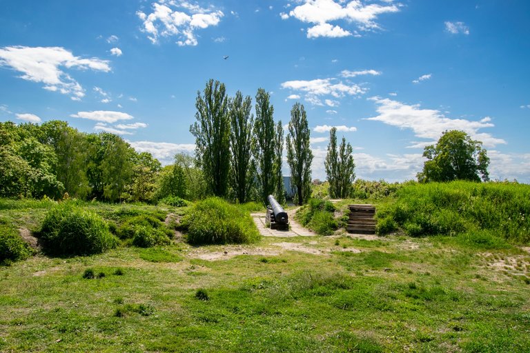 20250521 Пилау_10.jpg