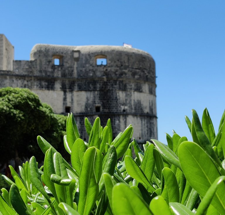 City Wall Dubrovnik