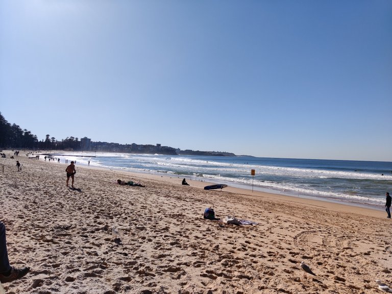 Manly Beach: Sydney, AUSTRALIA.jpg