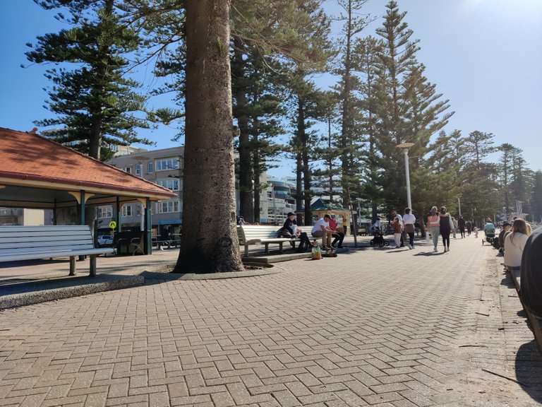 Manly Beach: Sydney, AUSTRALIA.jpg