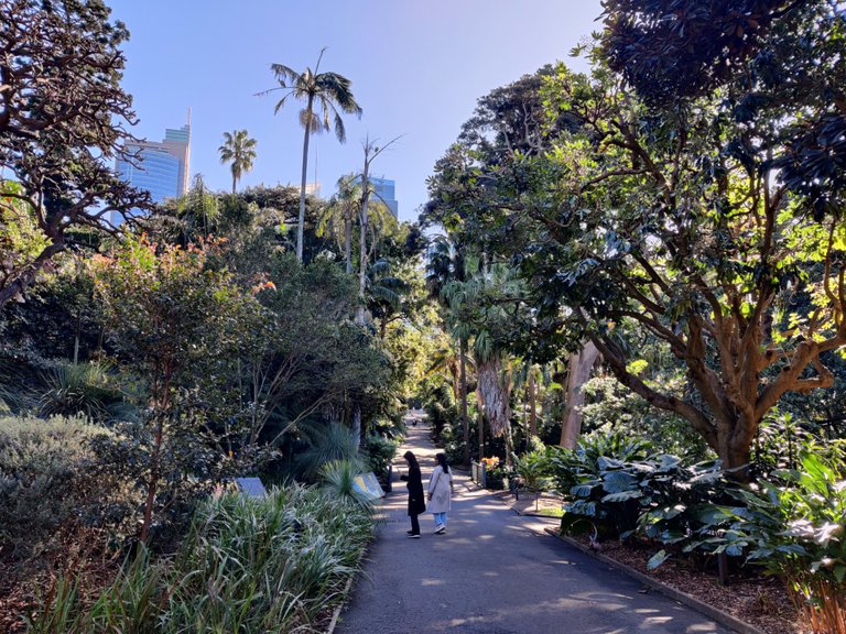 Strolling to Work: Sydney Botanic Gardens (Australia).jpg