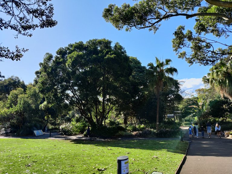 Strolling to Work: Sydney Botanic Gardens (Australia).jpg