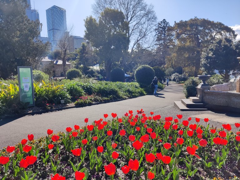 Strolling to Work: Sydney Botanic Gardens (Australia).jpg