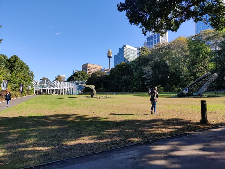 Strolling to Work: Sydney Botanic Gardens (Australia).jpg