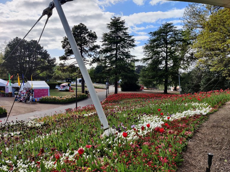 Floriade 2022: Canberra, AUSTRALIA.jpg