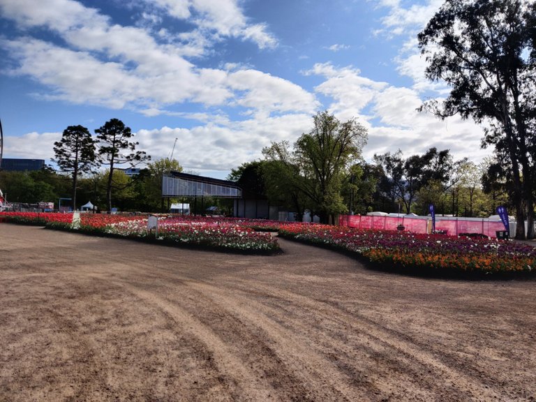 Floriade 2022: Canberra, AUSTRALIA.jpg