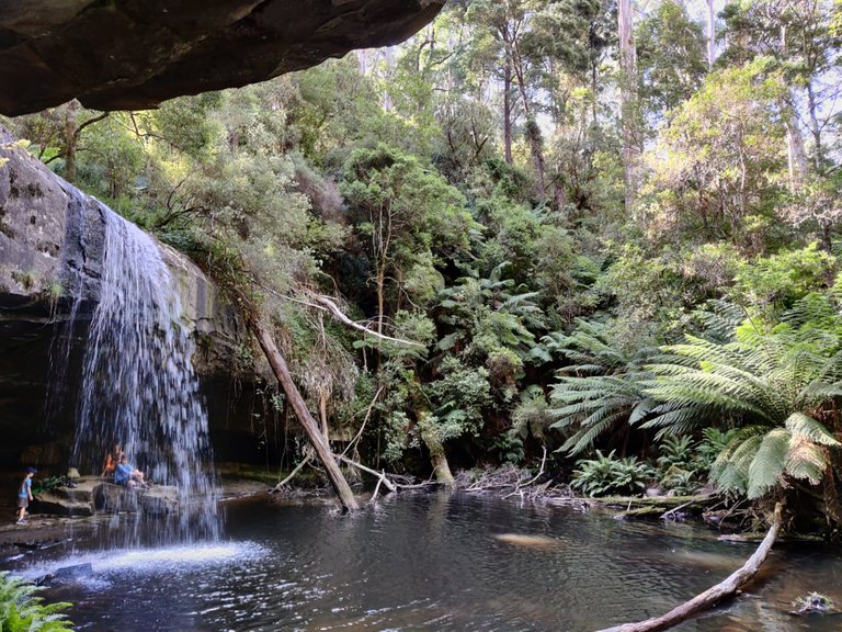 Kalimna Falls and Walking Trail: Victoria, AUSTRALIA.jpg