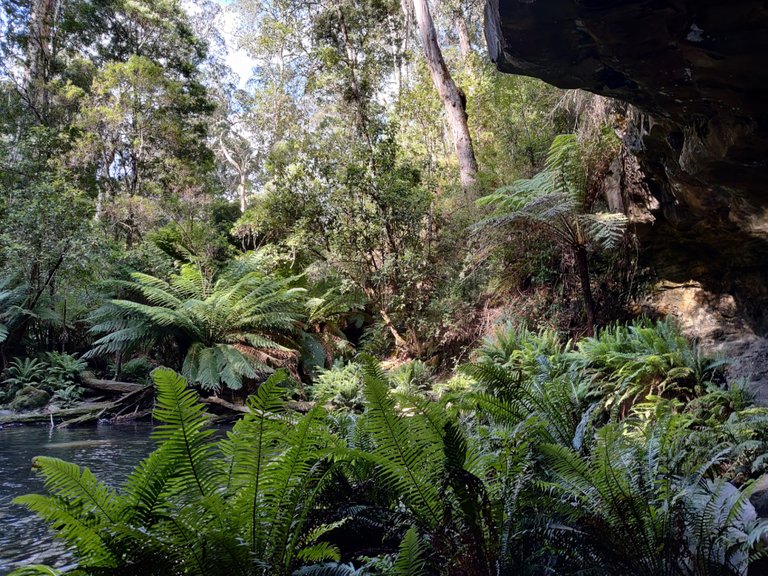 Kalimna Falls and Walking Trail: Victoria, AUSTRALIA.jpg