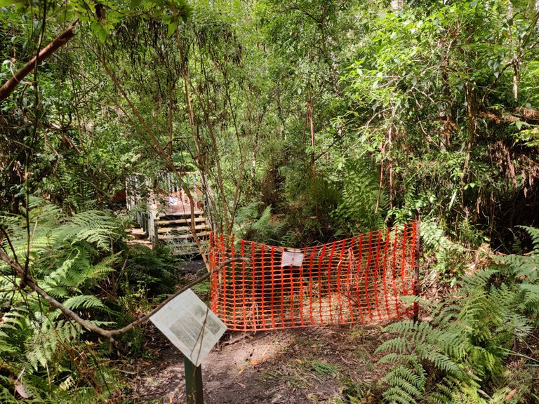 Kalimna Falls and Walking Trail: Victoria, AUSTRALIA.jpg