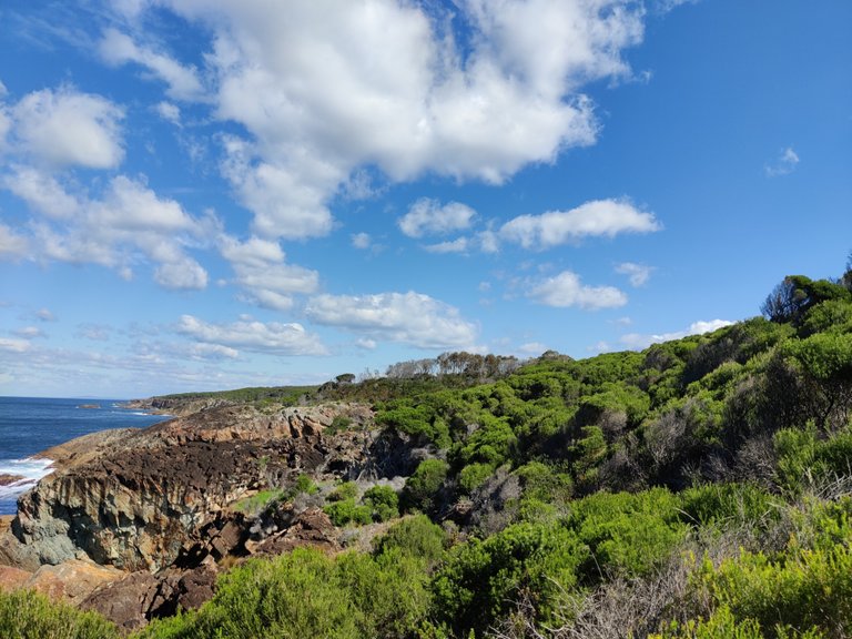 A Walk around Tathra (AUSTRALIA).jpg