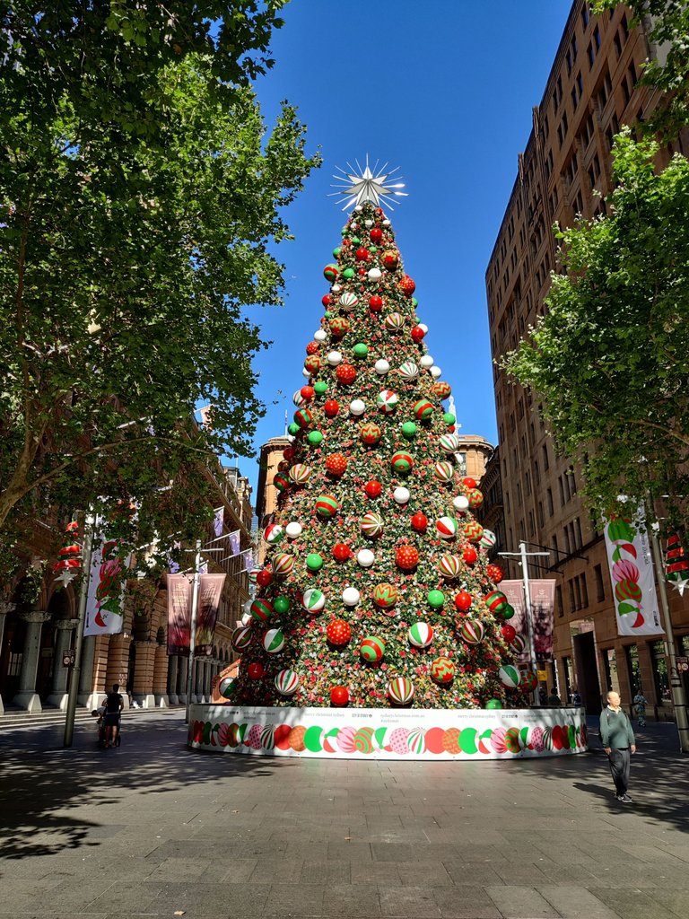 Sydney Christmas Tree at Martin Place.jpg