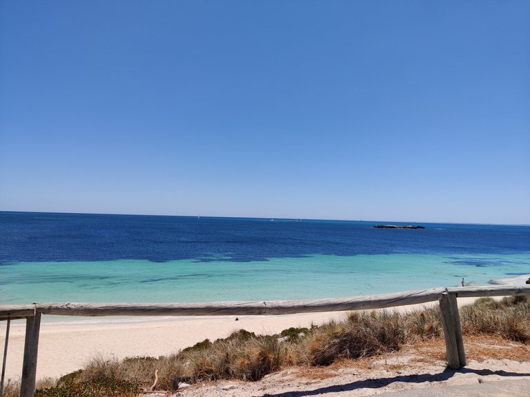 Day Trip to Rottnest Island!.jpg