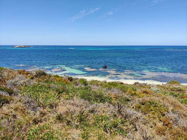 Day Trip to Rottnest Island!.jpg