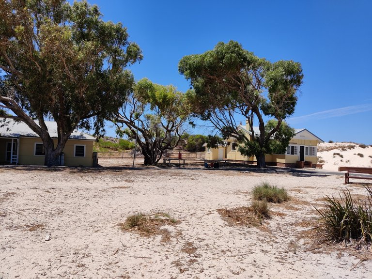 Day Trip to Rottnest Island!.jpg