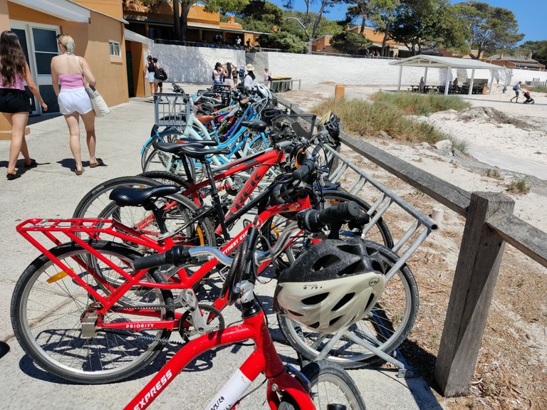 Day Trip to Rottnest Island!.jpg