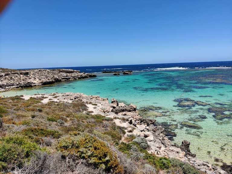 Day Trip to Rottnest Island!.jpg