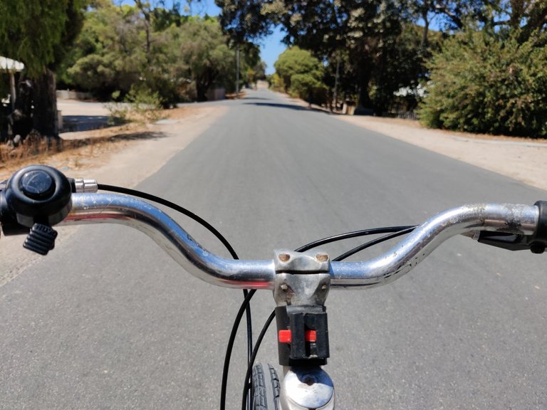 Day Trip to Rottnest Island!.jpg