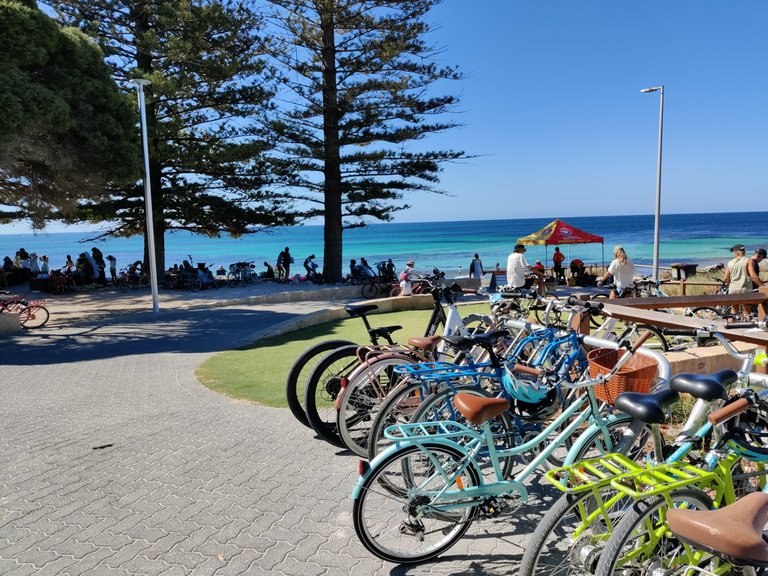 Day Trip to Rottnest Island!.jpg