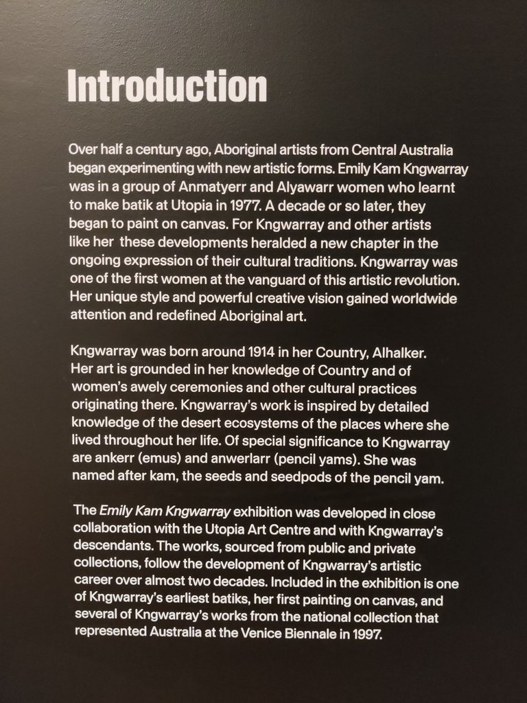 Kngwarray Special Exhibition: National Gallery of Australia.jpg