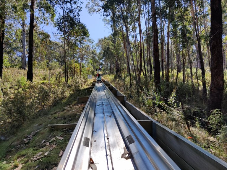 Corin Forest: Canberra, AUSTRALIA.jpg