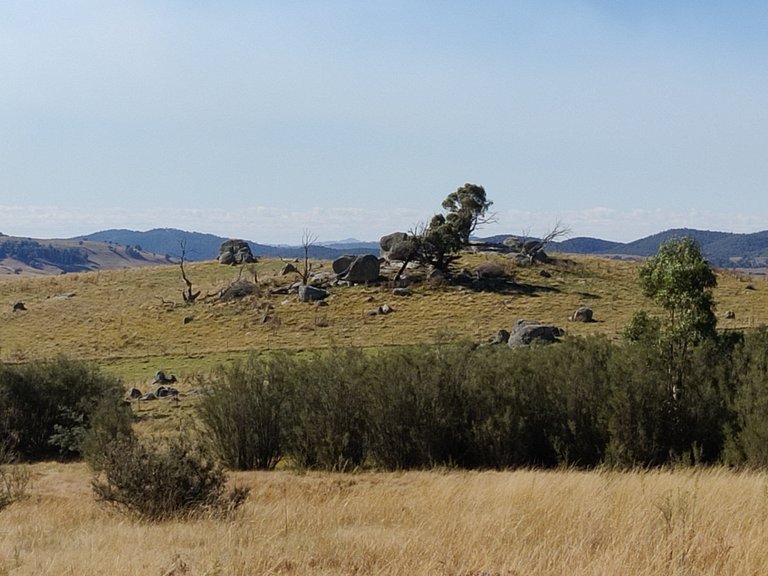 Birrigai Trails: Canberra, AUSTRALIA.jpg