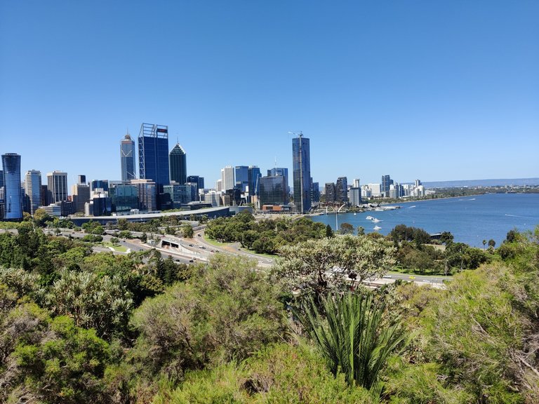 Last photos from our Kings Park Walk.jpg