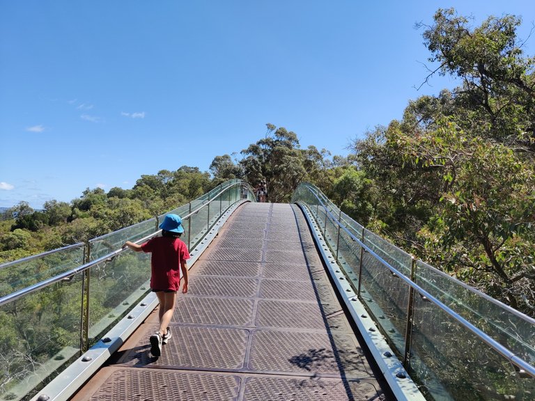 Last photos from our Kings Park Walk.jpg