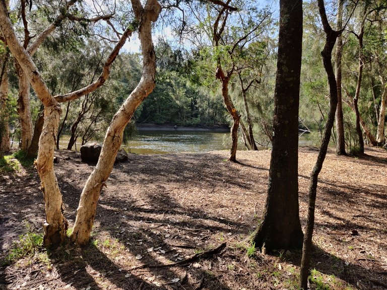 Hidden Creek Campsite: The Grounds.jpg