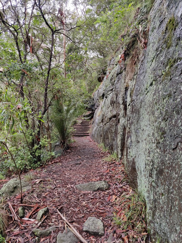 Bens Walk Part 1: Nowra, AUSTRALIA.jpg