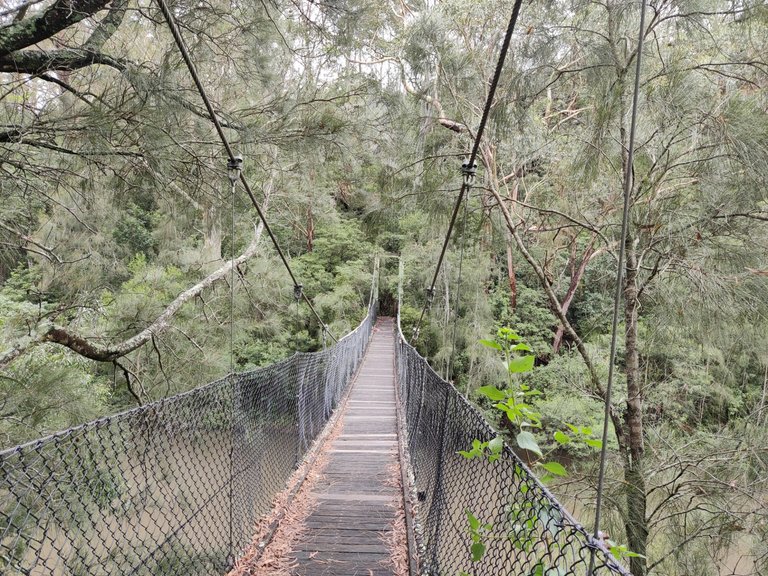 Bens Walk (Part 2): Nowra, AUSTRALIA.jpg