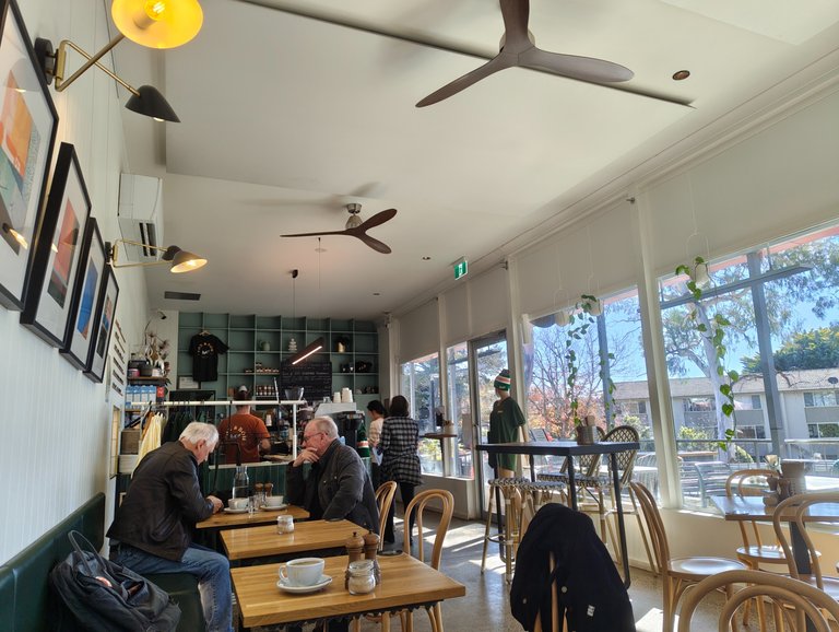 Fox and Bow: Canberra, AUSTRALIA.jpg