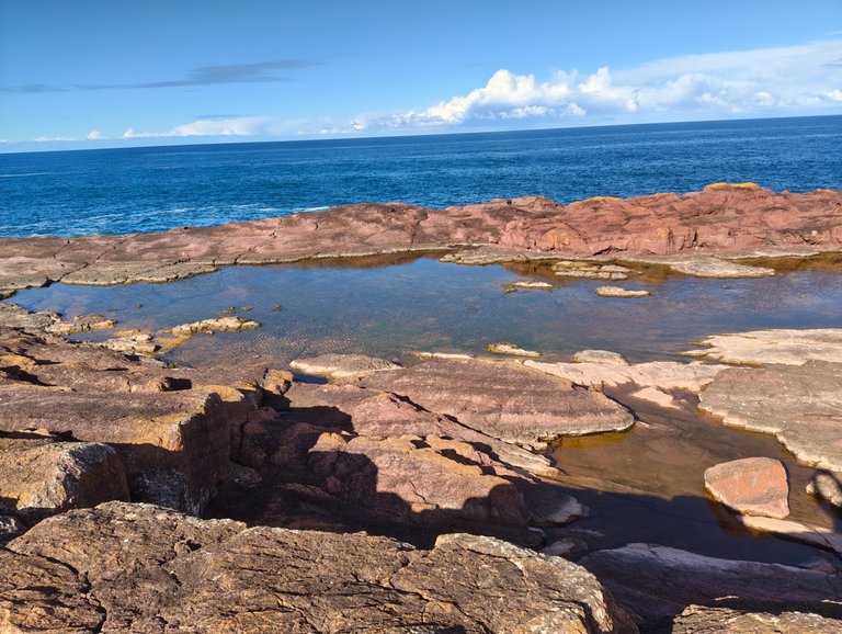 Tura Head Rockpool: Tura Beach, AUSTRALIA.jpg