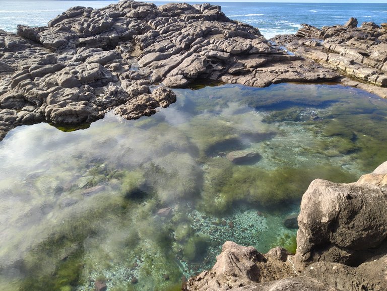 Tura Head Rockpool: Tura Beach, AUSTRALIA.jpg