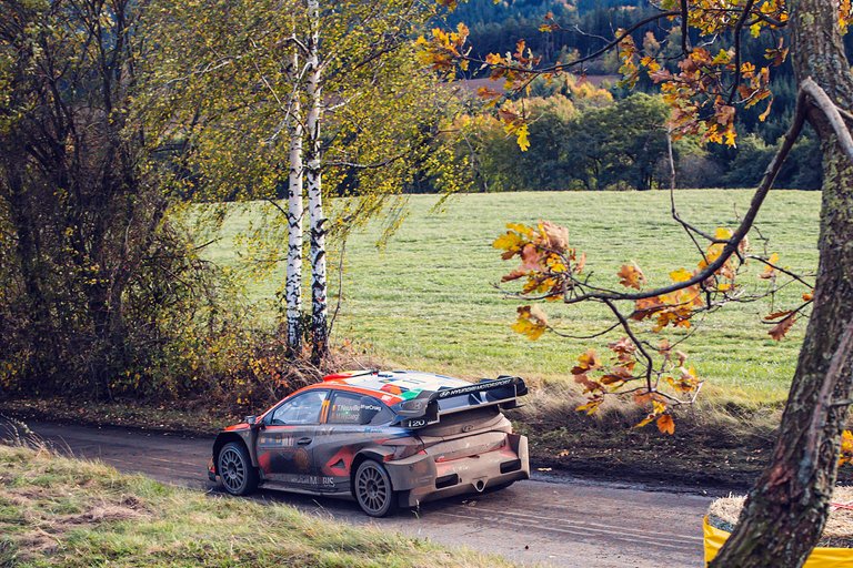 Thierry Neuville - WRC Central European Rally