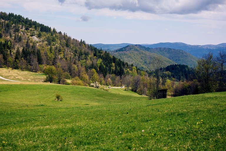 Road to Janjač viewpoint - Tara mountain