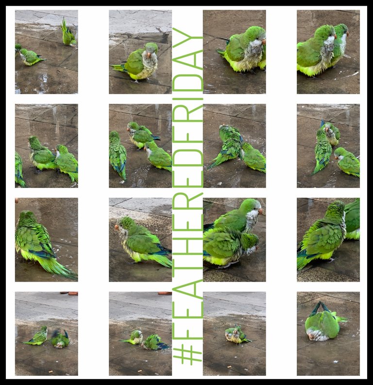  # I made about 40 cute pictures 