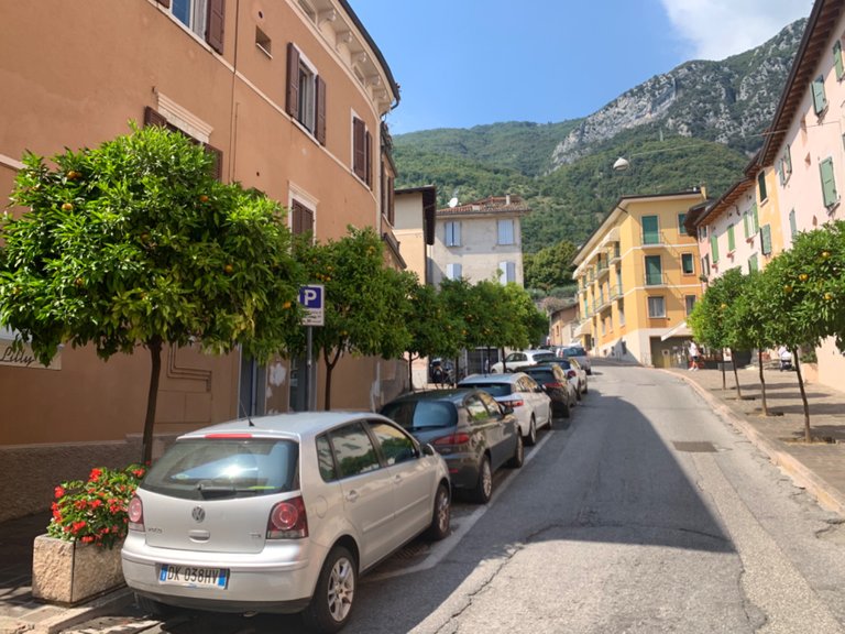 Again the orange trees , and the neat streets up the hill.