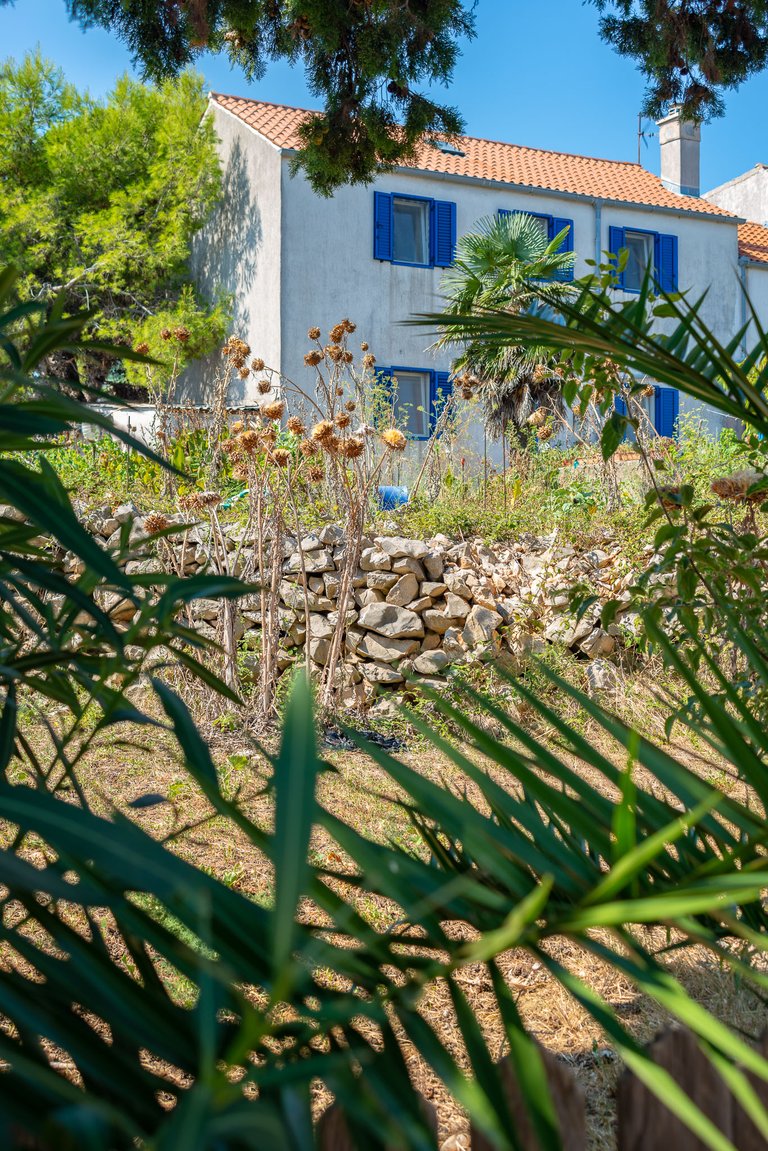 I adore the traditional architecture of Adriatic & plants which found their home here in many gardens - especially the artichoke - a very special plant to me in any shape I find it, even dry like here.