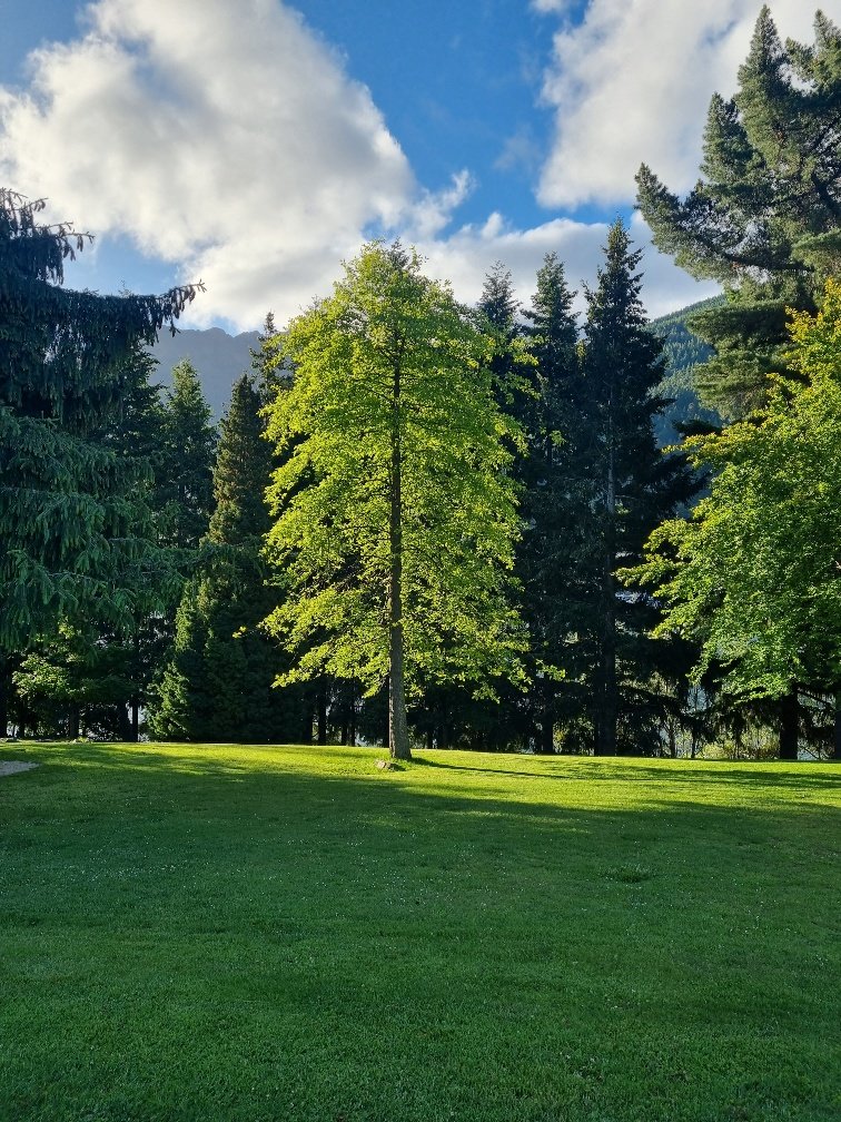 During the parkrun we passed many beautiful trees like this one. Not that I was really appreciating them fully while trying my best to run really fast. Haha! But we did end up walking through the Queenstown Gardens several times while we were in town because they were so close to our accommodation. And we loved them. For a green space, it was pretty awesome and I would highly recommend you have a walk through it if ever you go to Queenstown.