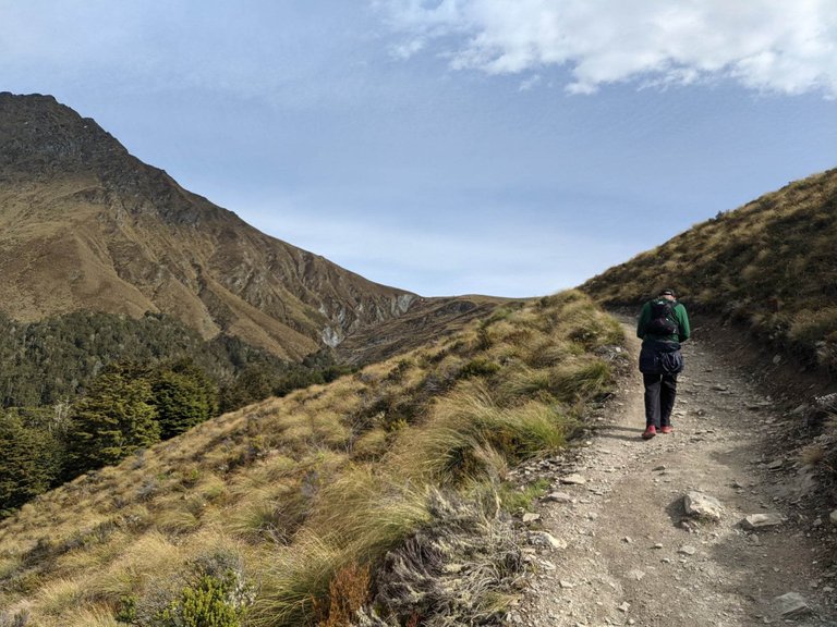 I’ll probably write an entire post at some point about our hike up and down Ben Lomond as it was incredible and deserves its own story. But for now, here’s a taste. This was the sort of terrain we were walking up (and run-walking down). This is the back of Brad, ahead and above me on the path. And that’s Ben Lomond, off to the left, just out of shot.