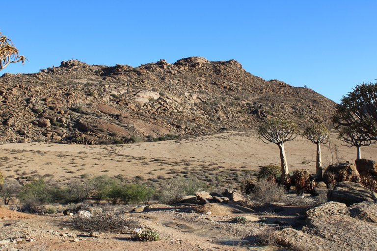 The semi-arid landscape of Goegap Nature Reserve.