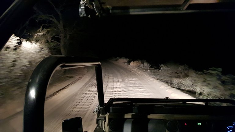 Cruising in the game drive vehicle.