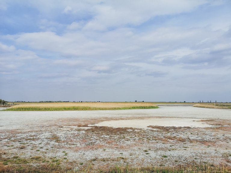 It is recorded that Neuseedler See looked like this small lake in Seewinkel National Park. Photo by Alis Monte [CC BY-SA 4.0], via Connecting the Dots